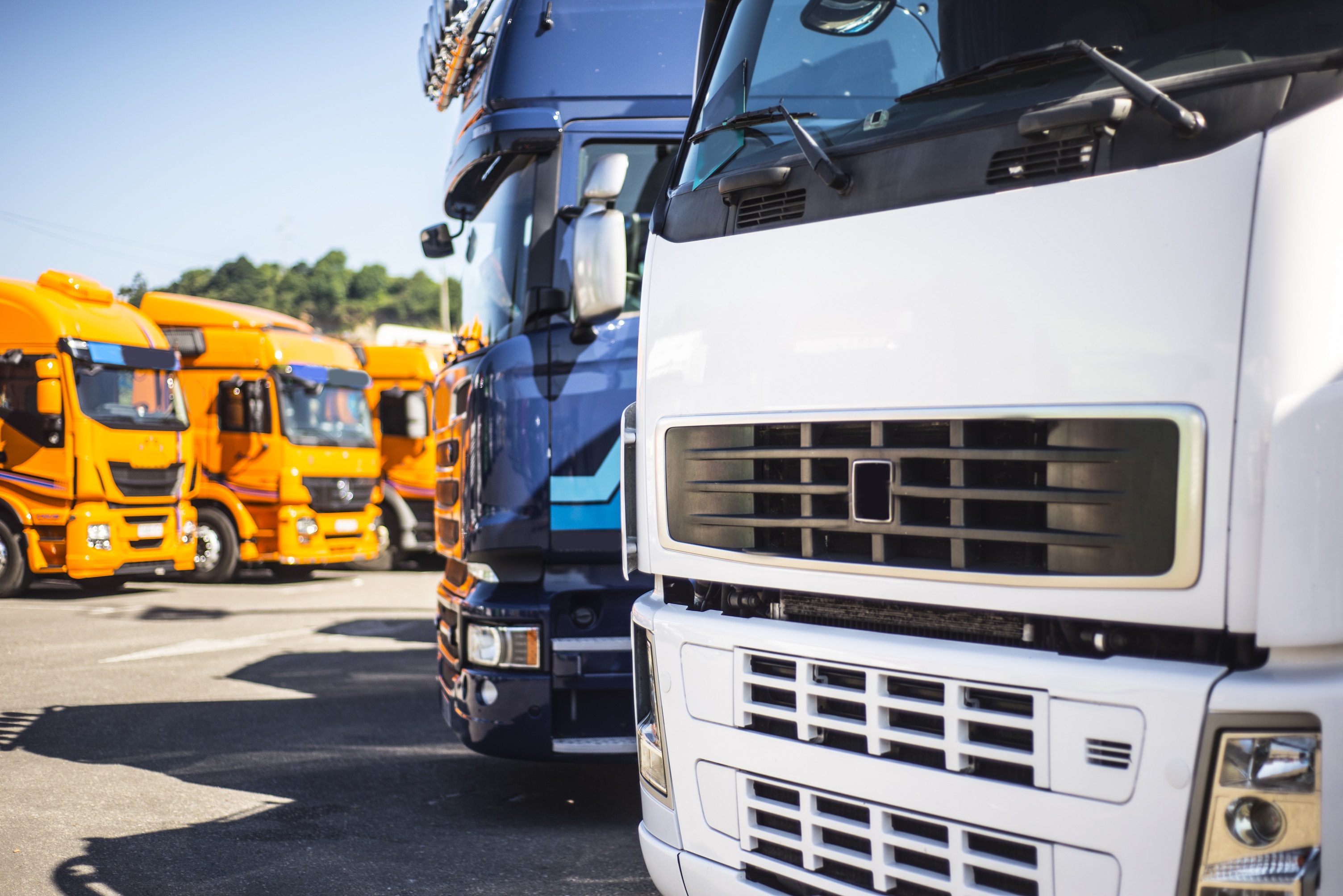 Multiple lorries on a parking