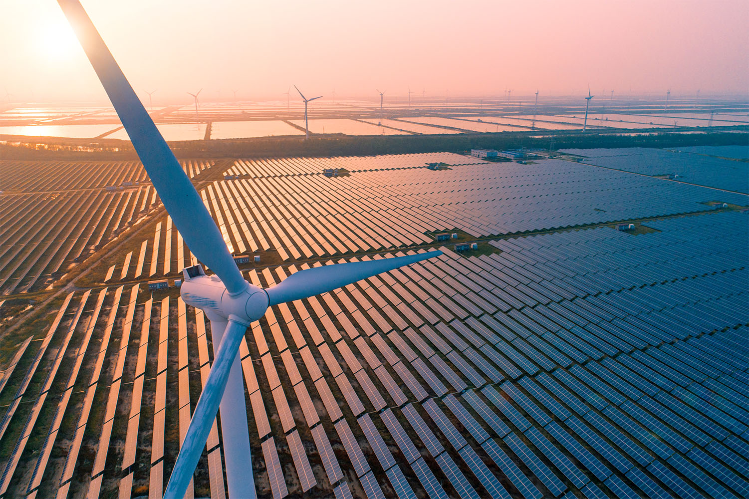 Wind and solar power farm