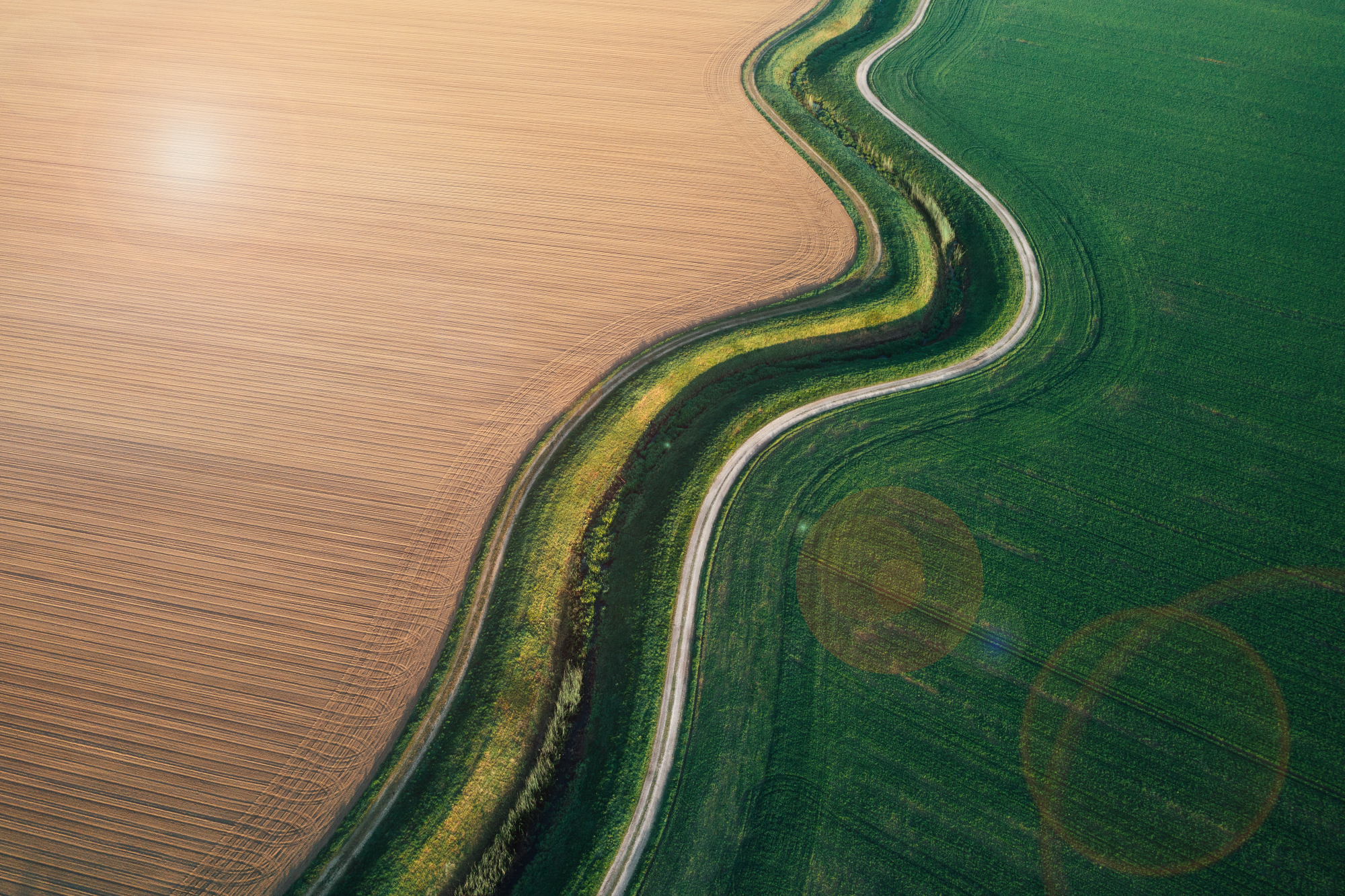 Agricultural field