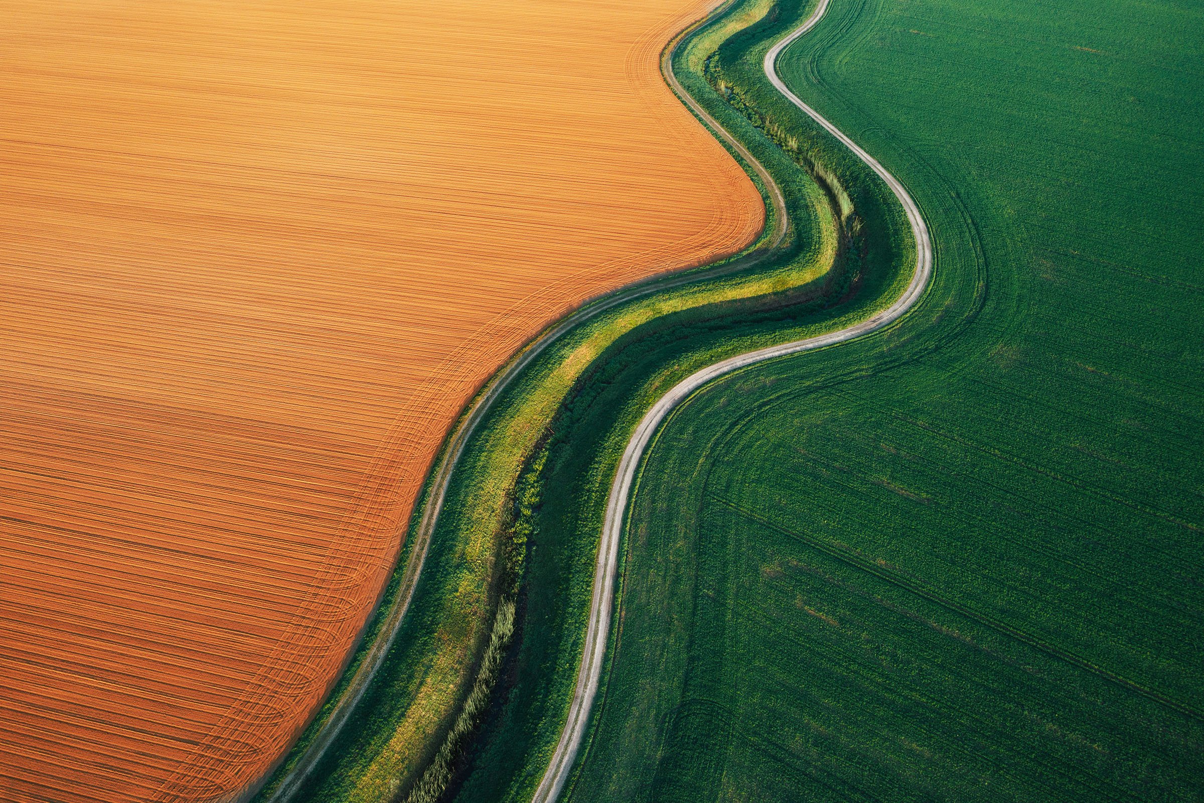 Field of crops in green and orange