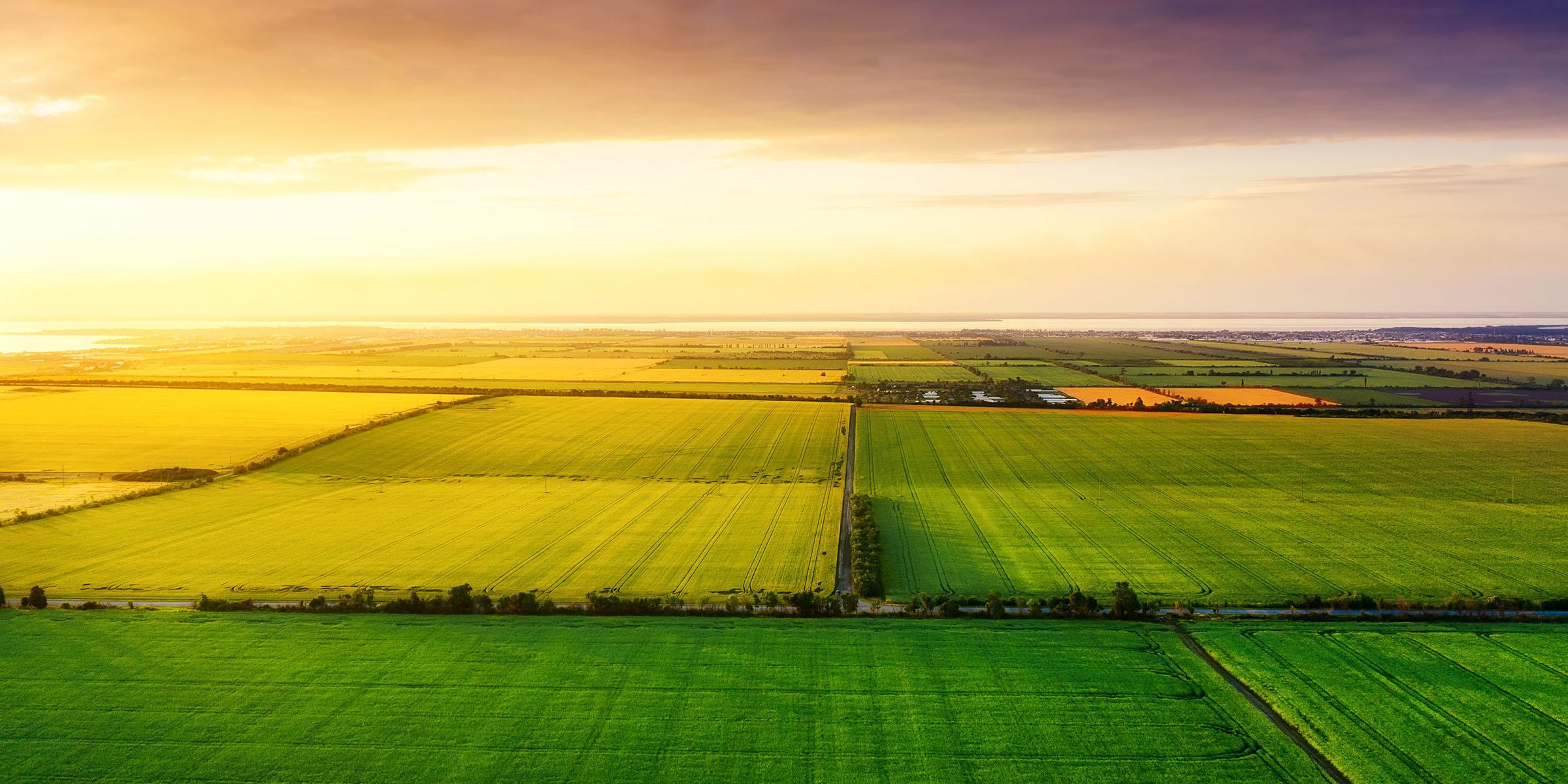 Agriculture fields farming