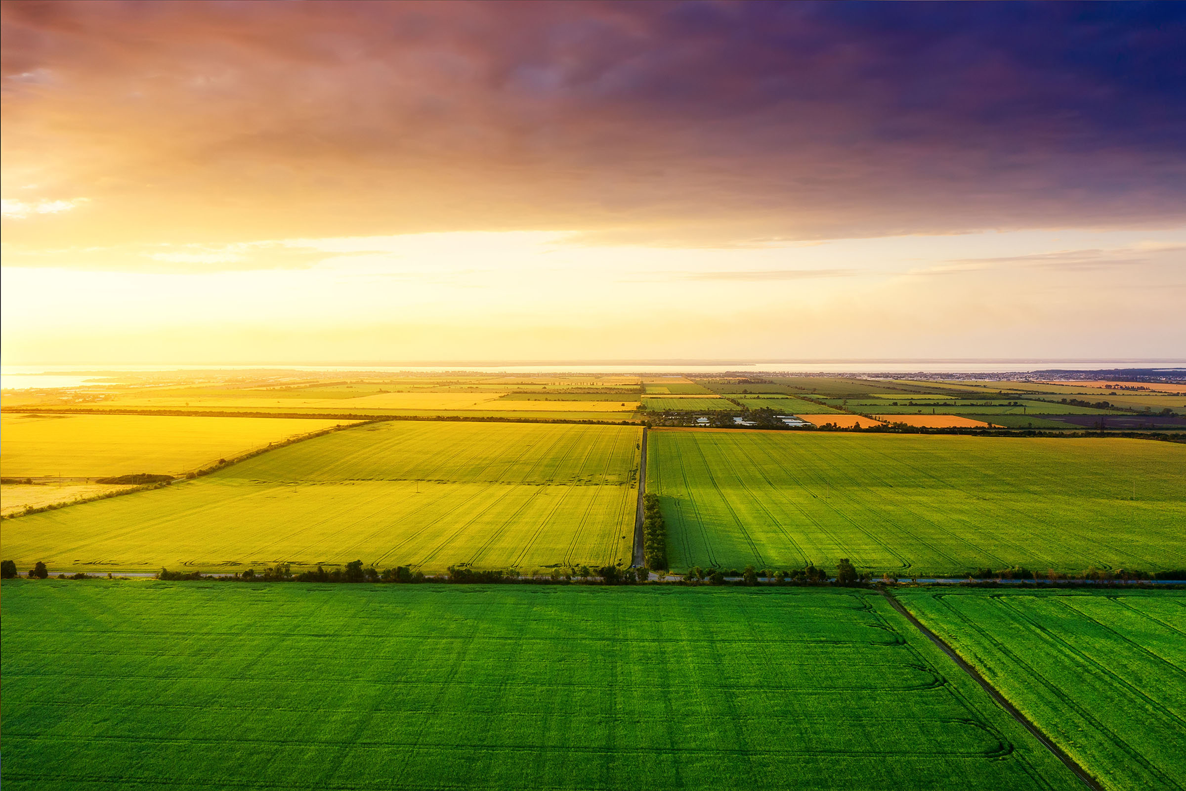 Agriculture fields farming