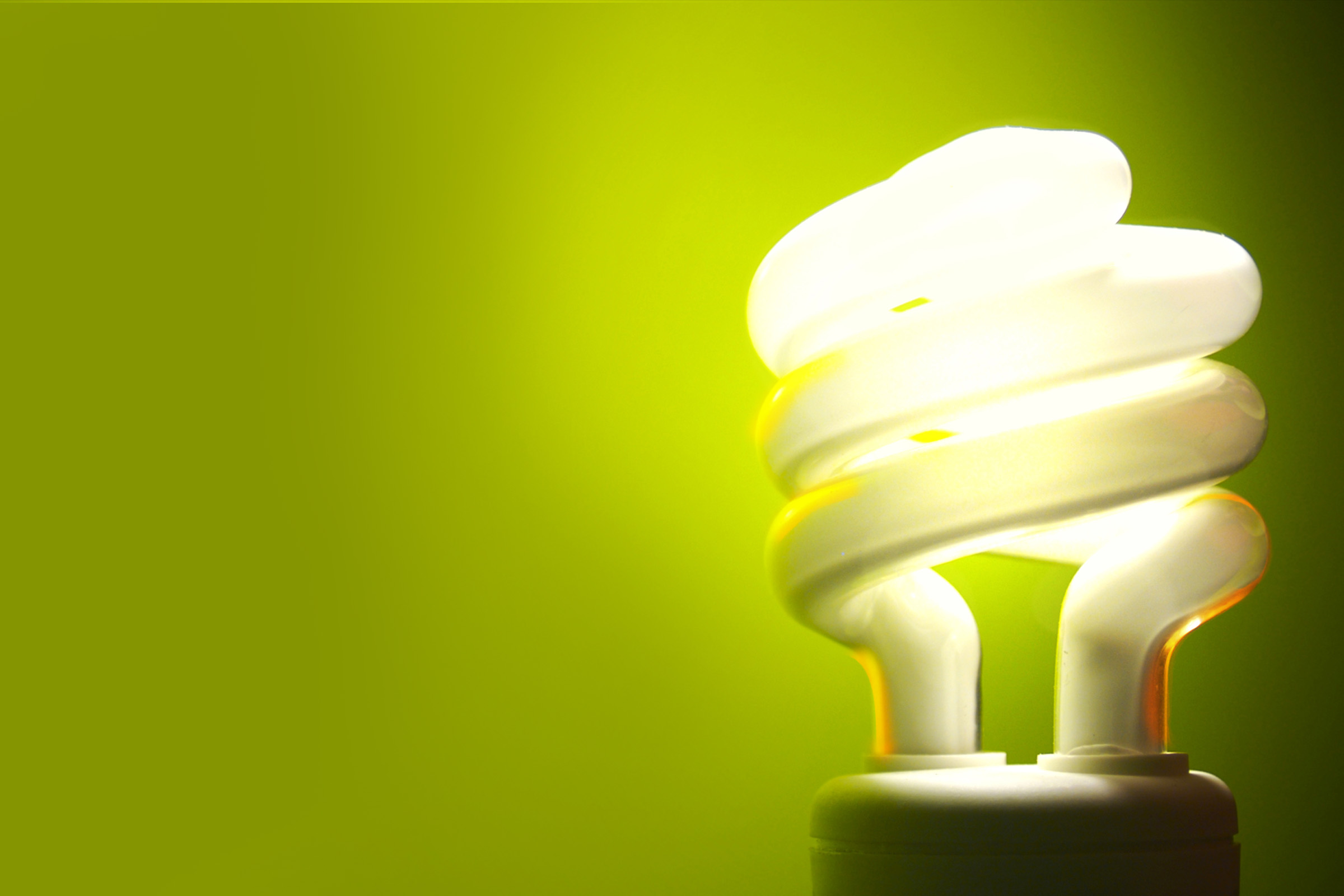 Energy efficient bulb against a green background