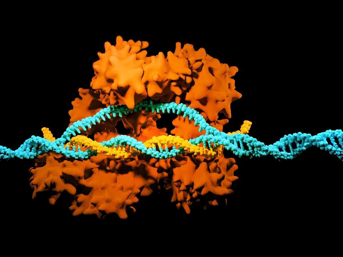 Crispr-cas9