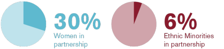 Pie chart figures - 30% Women in partnership and 6% Ethnic Minorities in partnership